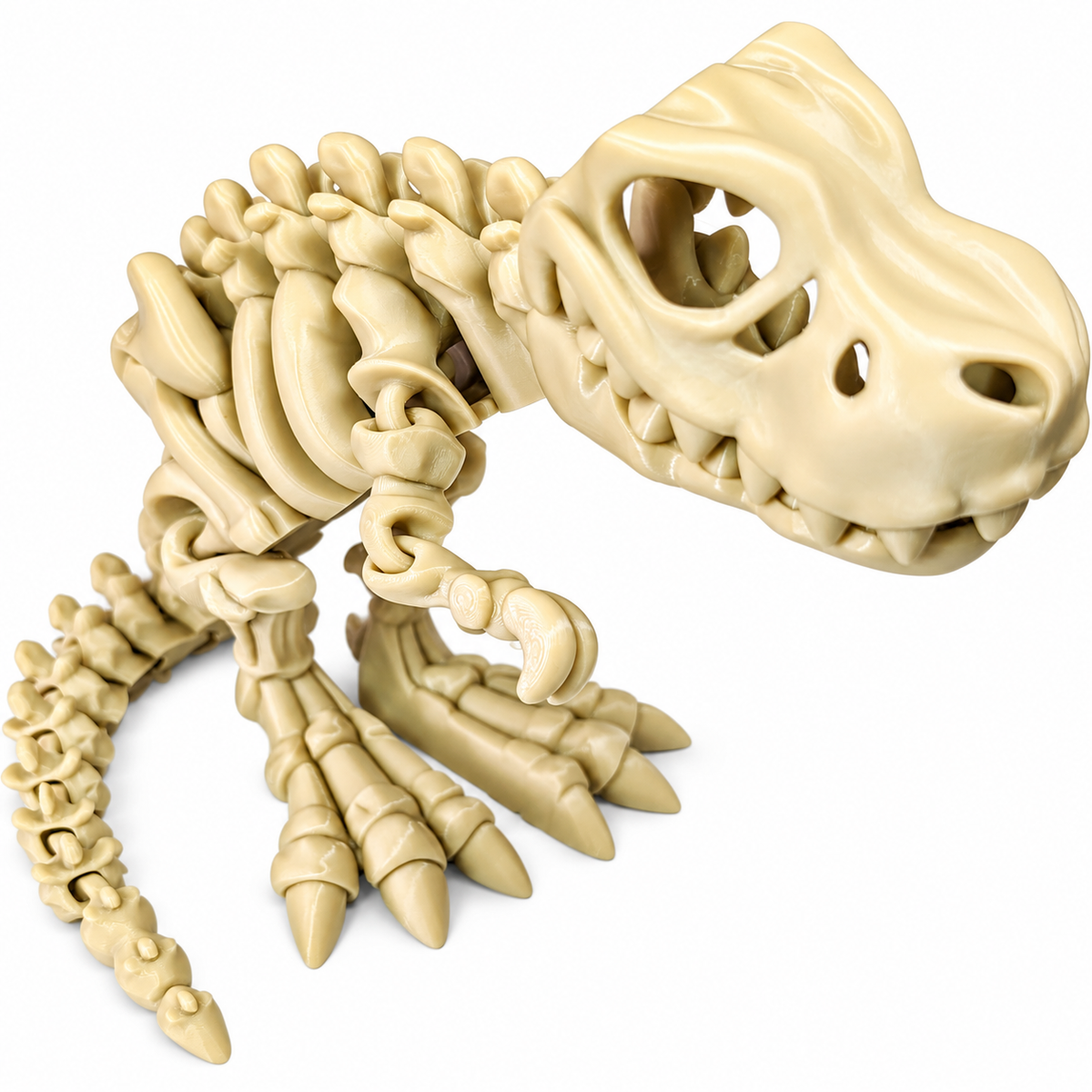 Bone T-Rex Dinosaur