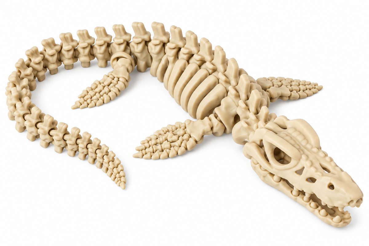 Wiggle3D Bone Mosasaurus articulated 3D printed skeleton