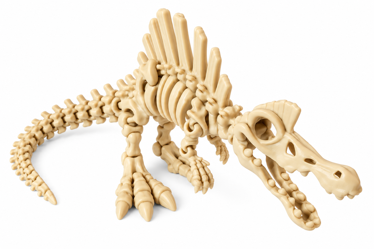 Wiggle3D Bone Spinosaurus Dinosaur articulated skeleton on white background