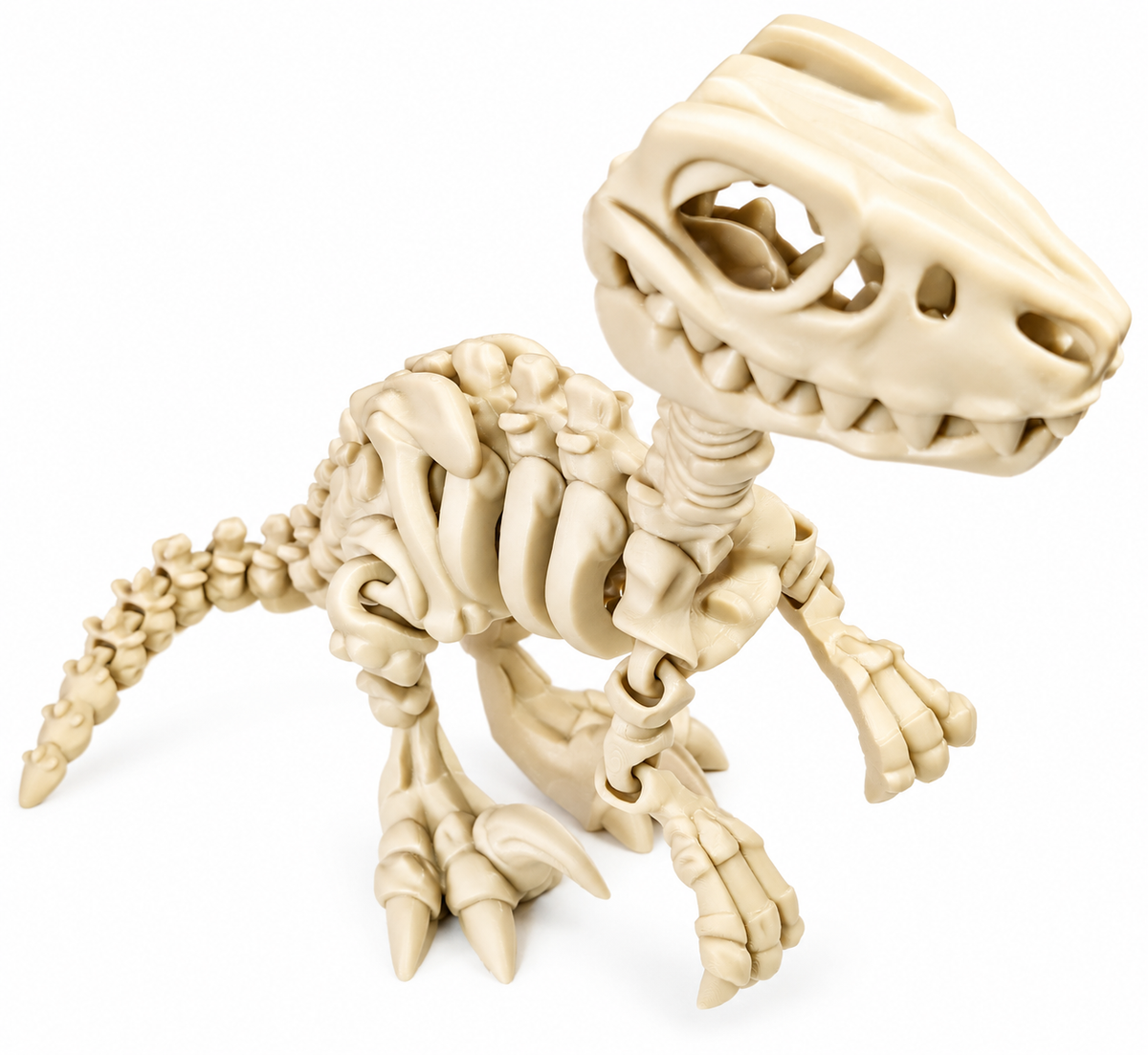 Wiggle3D bone T-Rex dinosaur on a clean white background